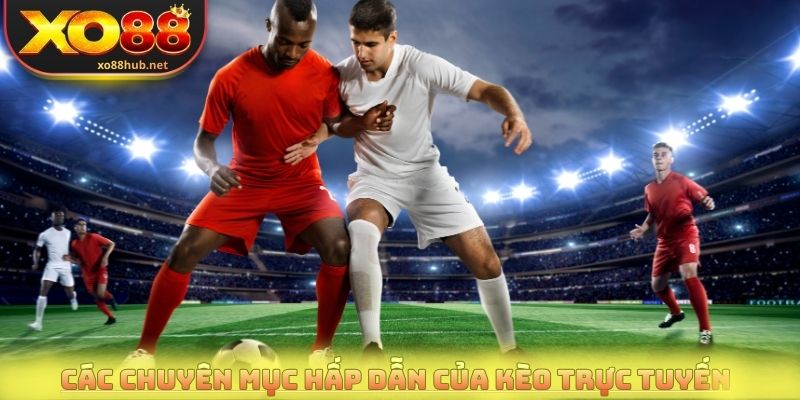 Kèo Trực Tuyến - Cập Nhật Tỷ Lệ Chuẩn Từng Trận Đấu 3 Các chuyên mục hấp dẫn của kèo trực tuyến