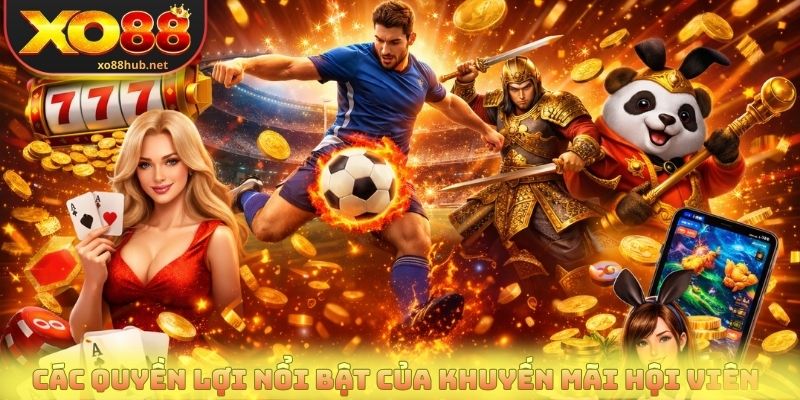 Các quyền lợi nổi bật của khuyến mãi hội viên