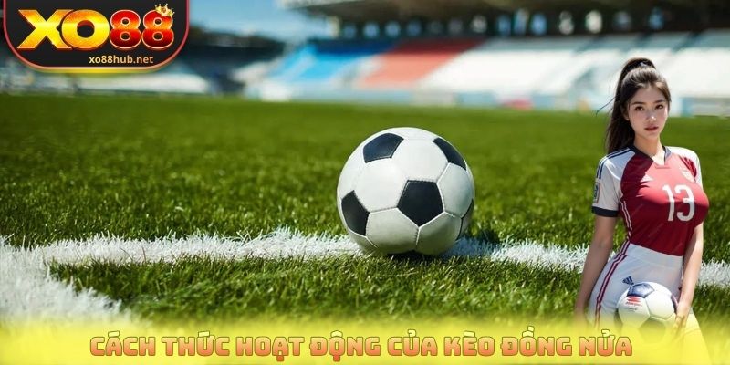 Cách thức hoạt động của kèo đồng nửa