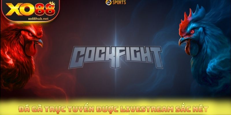 Đá gà trực tuyến được livestream rõ ràng, sắc nét tại Xo88