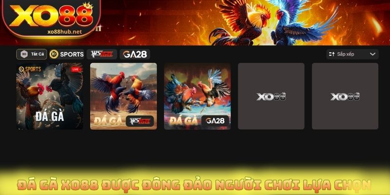Sảnh đá gà Xo88 được đông đảo người tham gia lựa chọn