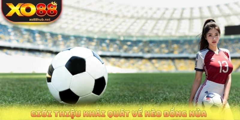 Giới thiệu khái quát về kèo đồng nửa