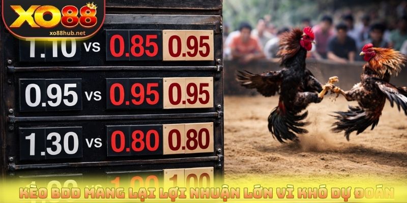Kèo BDD mang lại lợi nhuận lớn vì khó dự đoán