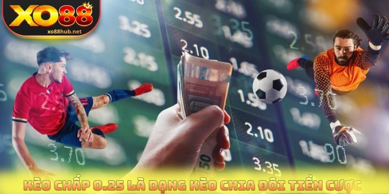 Kèo chấp 0.25 là dạng kèo chia đôi tiền cược 